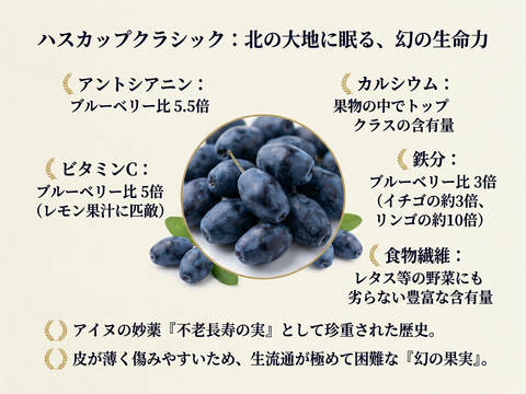 【冷凍ハスカップ1kg】畑嶋農園の原点クラシック・フィールドブレンド 500g×2 手摘み・鮮烈な酸味の大粒厳選