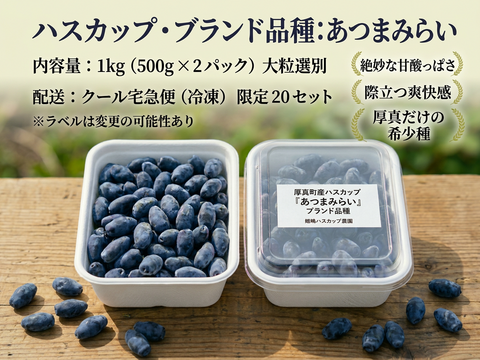 【冷凍ハスカップ1kg】畑嶋農園あつまみらい 驚きの甘みと爽やかな酸味