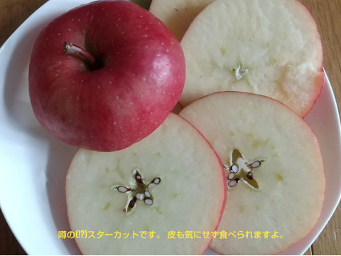 【予約販売・限定15セット】やっぱり“ふじ”が好き！余市産パリっとりんご(ご家庭用  5kg)
