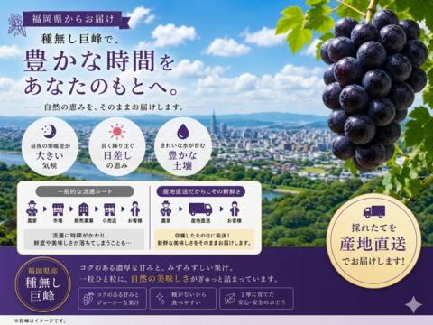 【先行予約受付中】旬の高級ぶどう/種無し巨峰　8月25日〜