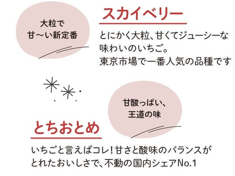 『ミルキーベリー』フレーズのこだわりいちご260×4パック