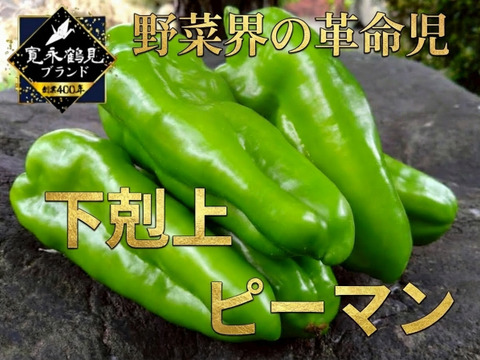 🫑野菜嫌いが吹っ飛ぶ🫑『下剋上ピーマン』400年土壌の栄養を最大限享受したブランドピーマン💡寛永鶴見ブランド1kgお試しキャンペーン💪2026年度予約☘️