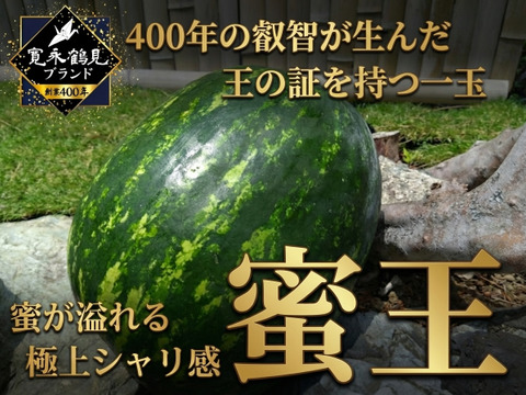 【最高糖度15度超え】選ばれし一玉にのみ刻まれる王の証🍉極限集中栽培が生んだ唯一無二のスイカ『蜜王』🍉寛永鶴見ブランド【7月中旬予約】
