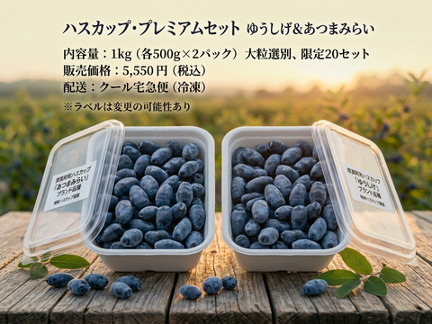 濃厚で爽やか！希少ハスカップ2種食べ比べセット 1kg（あつまみらい・ゆうしげ各500g 北海道厚真町産）