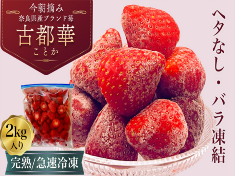 【❄️冷凍いちご2kg（1kg×2袋）】【古都華】そのまま食べれる新鮮バラ冷凍✨【贅沢いちごを瞬間冷凍🍓】