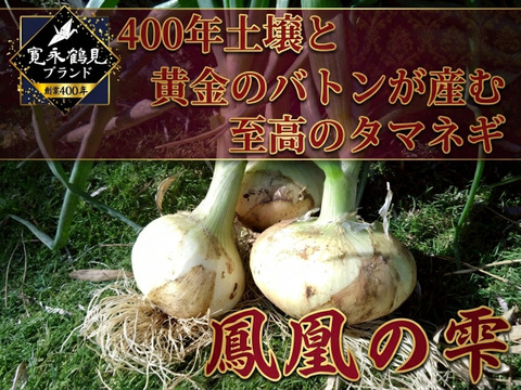【日テレ出演で話題】💡市場では絶対に入手困難『鳳凰の雫』400年の伝統土壌で培われたブランド玉ねぎ🧅お試し約1キロ