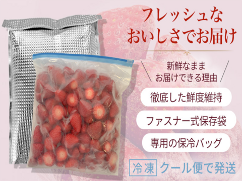 【❄️冷凍いちご2kg（1kg×2袋）】【古都華】そのまま食べれる新鮮バラ冷凍✨【贅沢いちごを瞬間冷凍🍓】