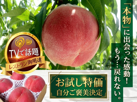 🍑ジューシー果汁スプラッシュ🍑樹上完熟桃"祝"産直受注1万件突破！！あしたの内村!!ニノさんTV出演で話題☆ 【朝どれ】自分ご褒美にレストラン御用達もも1kg【お試し特価キャンペーン】7月上旬予約