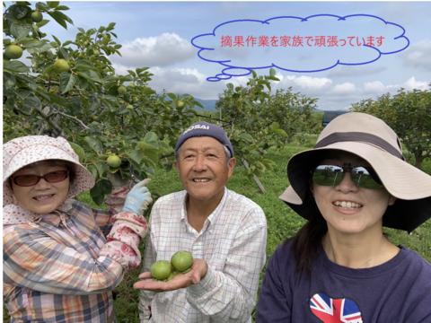 甘柿『太秋柿』甘くて美味しい 　サイズ５Ｌ・７個 ・２.５kg以上 白い箱入り