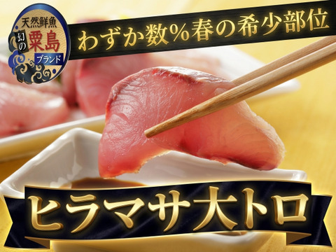 【数量限定】🐟わずか数％の希少部位🐟春の極上大トロ 海の貴族と称される天然ヒラマサの“シャトーブリアン”刺身＆しゃぶしゃぶ180g【5月中下旬予約】