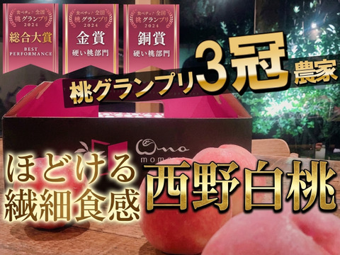 ももいちばん出品 Amazon.co.jp: エスピーコネクト(SP Connect) デイトナ iPhone16
