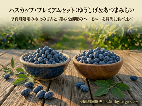 濃厚で爽やか！希少ハスカップ2種食べ比べセット 1kg（あつまみらい・ゆうしげ各500g 北海道厚真町産）
