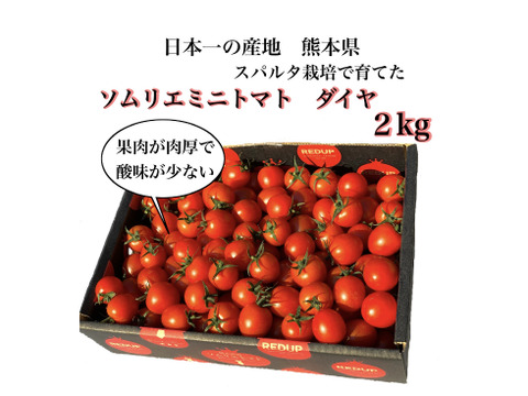 【塩トマトのようなフルーツトマト】ソムリエミニトマト　ダイヤ２kg