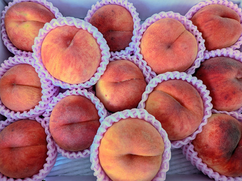 【お試し規格】訳あり C品　約3kg　8～14玉　8月下旬　お得にたくさん食べたい方へ　農家直送