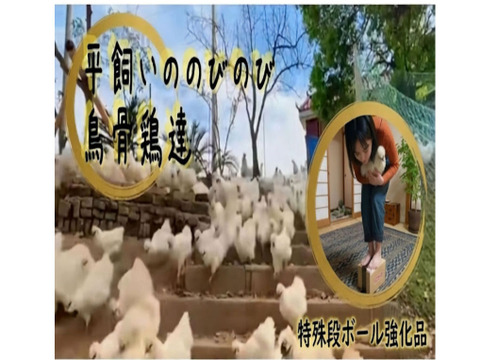 【食べ比べ】衝撃のおいしさ　烏骨鶏＆濃厚黒どりネラ （計20個）16個＋破卵保証4個　 希少なアルカリ性卵　| 箸で掴める濃厚さ | 贈答品質を食卓へ 卵かけご飯 ギフトバック付き