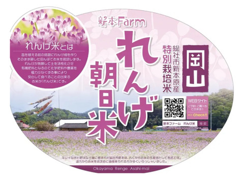 令和7年度新米。岡山朝日蓮華米 【約9kg】特別栽培米。大粒でも