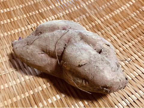 【福袋】限定50箱🉐熟成さつまいも食べ比べ🍠個性的な形でも味は同じ🍯《訳あり》蜜溢れる安納芋、安納黄金、紅はるか（ご家庭用•10キロ）見た目が気にならなければ超お得！年に一度だけの特別な福袋✨