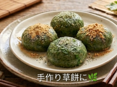 ヨモギ🌿よもぎ🌿蓬🌿生葉15本以上、約60g🌿上から15cmの柔らかいヨモギ🌿和ハーブ「ハーブの女王」ビタミンK鉄分クロロフィル☆畑横の人が通らない林☆お試し用☆メール便📩発送