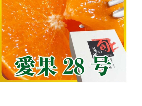 【数量・期間限定】愛媛の方にも大人気！ 愛果２８号 贈答用3kg
　　興居島が誇る濃厚な果汁が口いっぱいに広がりとろけるようなくちどけ！　【12/1～随時出荷】