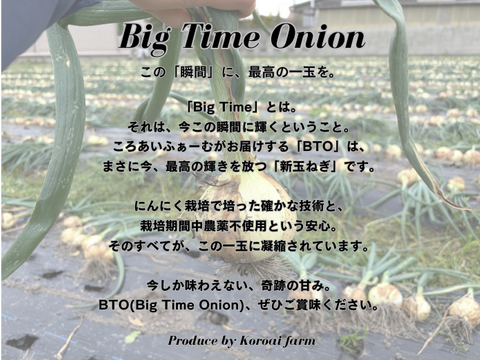 【Big Time Onion】お得用詰め合わせセット　5kg