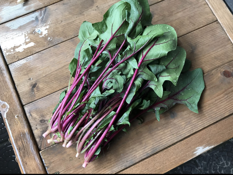 京の旬野菜セット--9種--【漢方栽培】