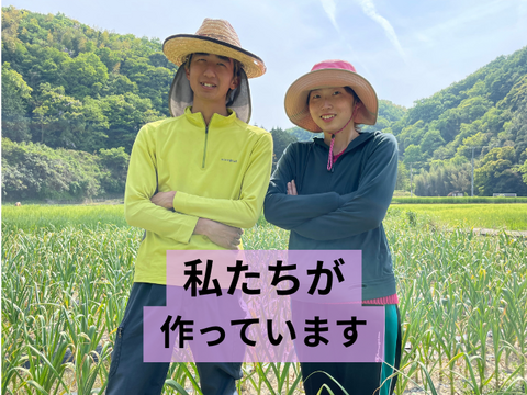 【期間限定】幻の生にんにく　讃岐平戸　1kg