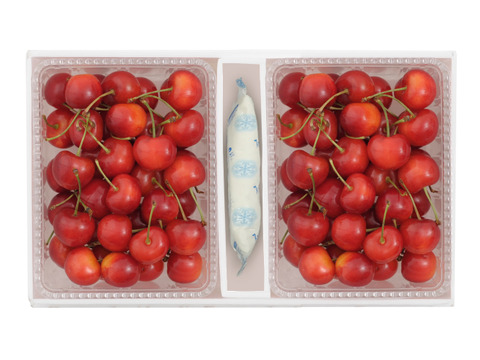 紅秀峰1ｋｇ【予約販売】北海道・芦別産【大橋さくらんぼ園】