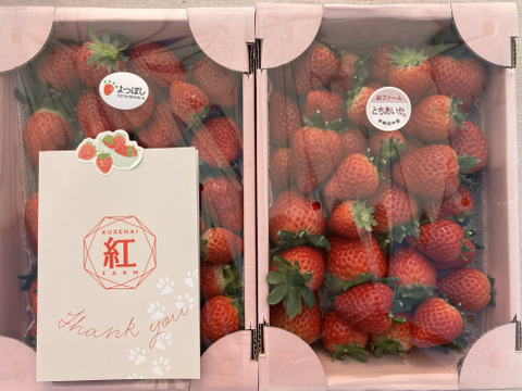 【規格外】たっぷり約2kg⭐︎おまかせ3品種