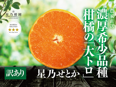 【季節限定】星乃せとか 木成り完熟 愛媛産せとか サイズ混合 訳あり 3kg