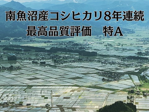 【令和7年産定期便】南魚沼産新之助１等米5kg【塩沢地区のお米100％】