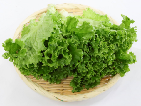 カリウムが気になる方へ！生で食べれます！低カリウム野菜「Dr,ULHAドクターウルハ」えらべる３袋セット