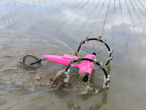 安心な有機JAS認証　自然栽培ササニシキ分づき精米3㎏