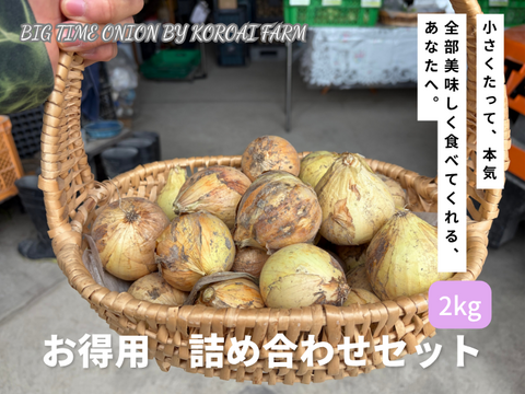 丸ごとスープに！【Big Time Onion】お得用詰め合わせセット　2kg