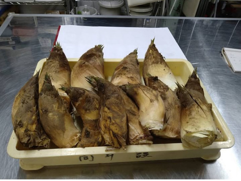 【生たけのこ】採れたてをお届け！ 生たけのこ（2kg）