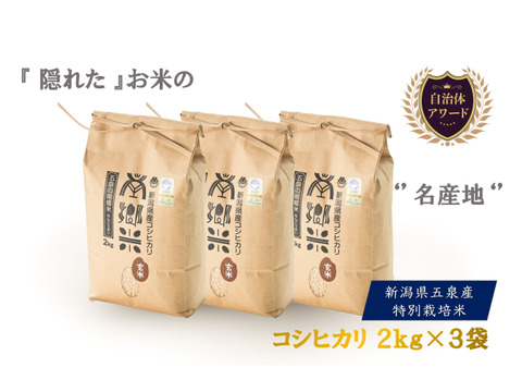 年末年始特別値引き！ 令和７年  特別栽培米''隠れたお米の名産地''新潟県五泉産コシヒカリ100%「南郷米」玄米2kg×3袋