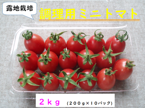 ミニトマト３種食べ比べ（1.5kg、各500g）　不耕起・草生・無肥料・無農薬・在来・固定種