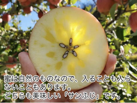 《予約商品》11月中旬～ 綺麗な 葉とらず サンふじ  10キロ箱 24～36玉 長野県産