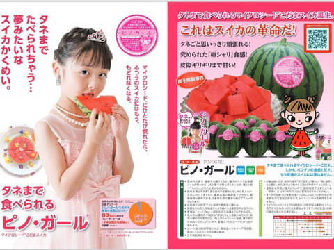 予約受付】甘～い尾花沢小玉すいか 2~3Lピノガール 1玉 山形県産