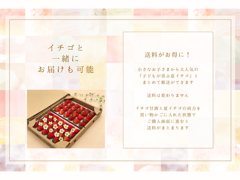 濃厚!! 夏イチゴ甘酒『苺姫 無垢』1本 ご自宅用 数量限定