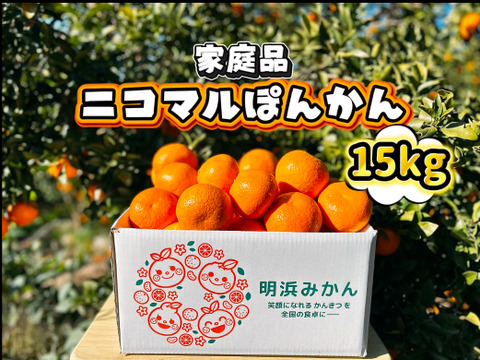 【愛媛県産】季節限定　甘味がギュッと詰まったポンカン　家庭用　15ｋｇ