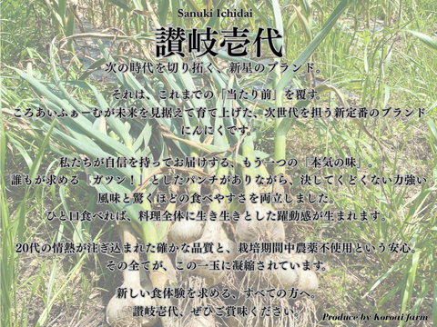 【期間限定】幻の生にんにく　讃岐壱代　1kg
