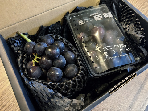 ⭐️食べチョク限定⭐️今年度最終出荷❗山梨 巨峰の町 牧丘町 【一房+粒】【紫黒色の宝石】