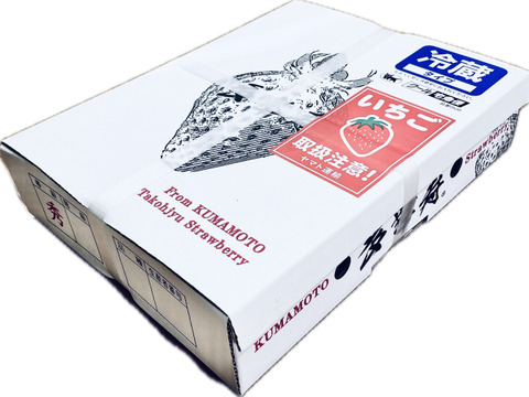 🥇いちごグランプリ金賞受賞！希少品種！『肥後こまち』ご家庭用パック 250g×2p