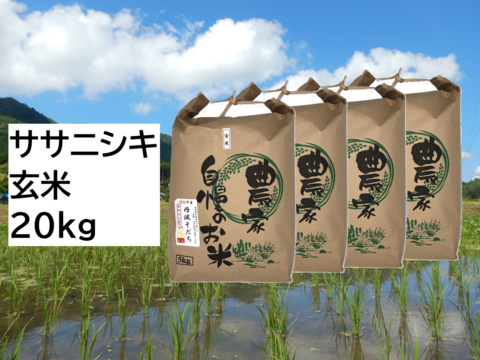 【2024年産】自然栽培米『ササニシキ』玄米20kg