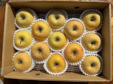 小玉はるか！【スマートフレッシュりんご家庭用約3ｋｇ】（玉数指定不可）