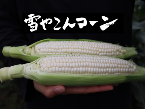 糖度20度超え!白いとうもろこし雪やこんコーン【6本】