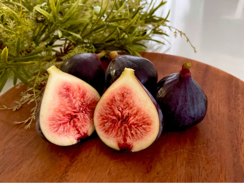 【冬季限定】チョコたっぷり！ドライいちじくチョコレート