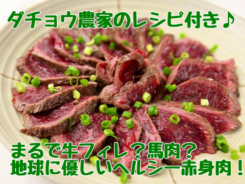 【600g】最高級部位　柔らかな上質な赤身【牛肉？馬肉？】【ダチョウ肉フィレ】