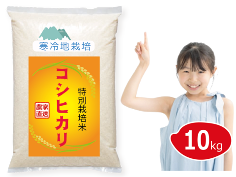 令和7年新米予約 10月発送】特別栽培米 コシヒカリ 10kg 玄米