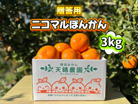 【愛媛県産】季節限定　甘味がギュッと詰まったポンカン　贈答用　3ｋｇ